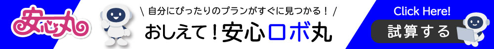 おしえて！安心ロボ丸