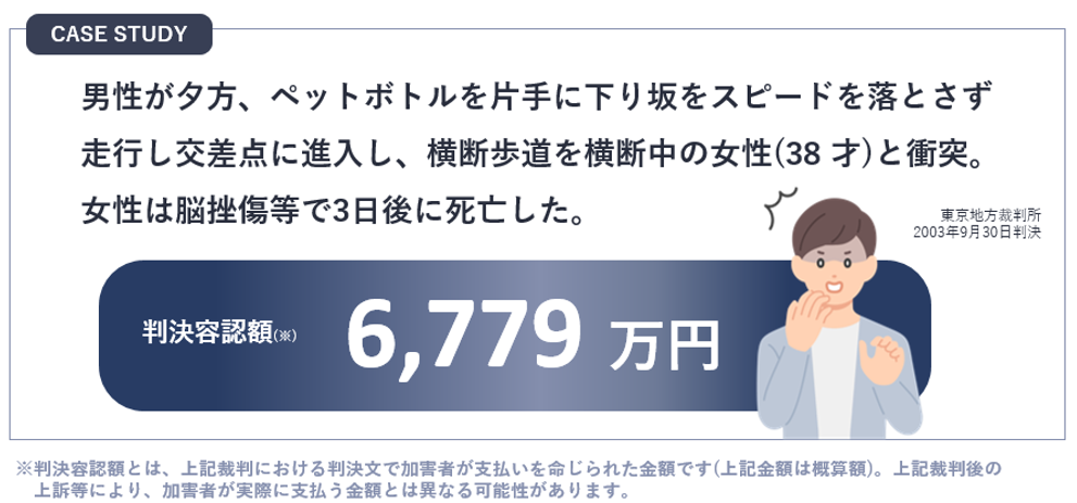 万が一が起きた際のおまもりとしての「安心丸」