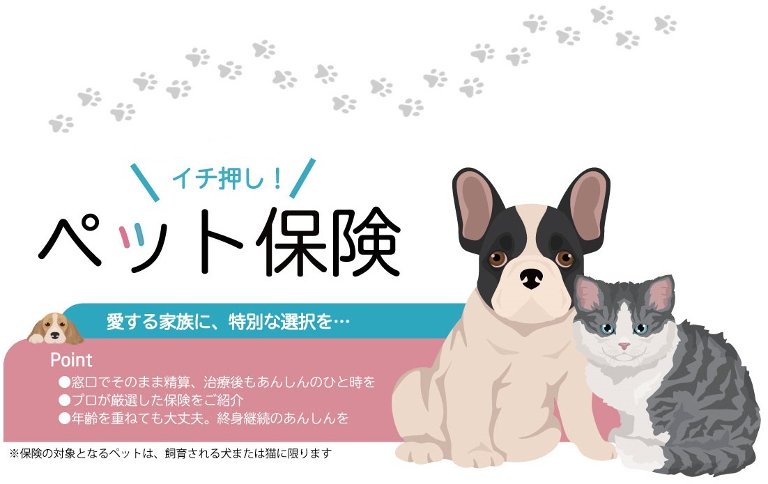ペット保険