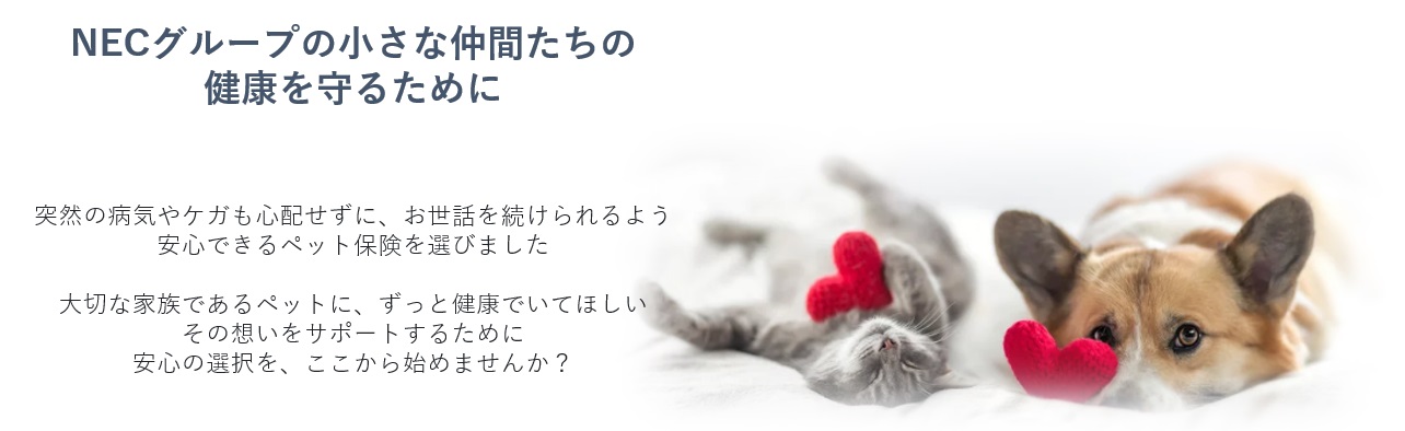 ペット保険