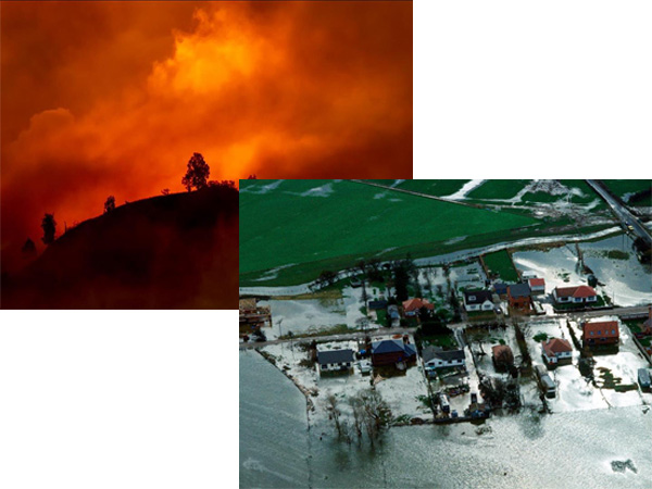 自然災害のリスク